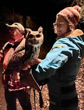 Eine Eule sitzt nachts im Wald auf dem Arm einer Person